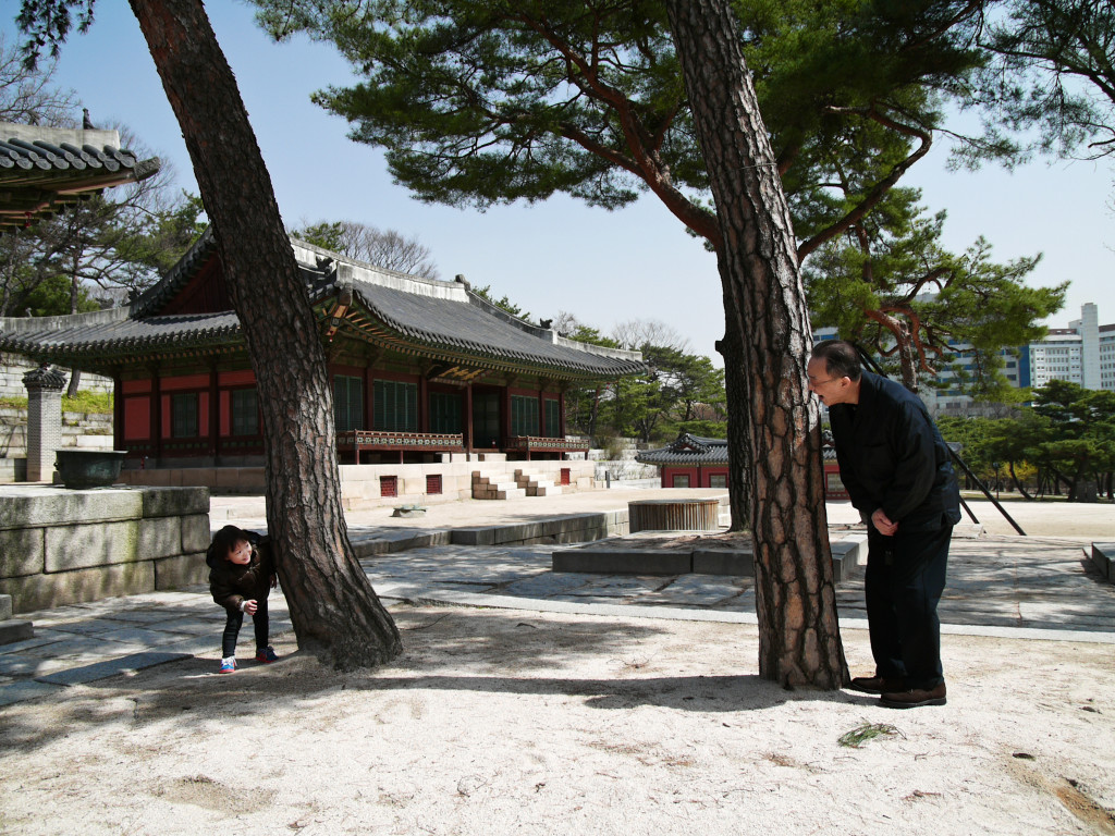 보고 또 보고 ⓒ 윤한구